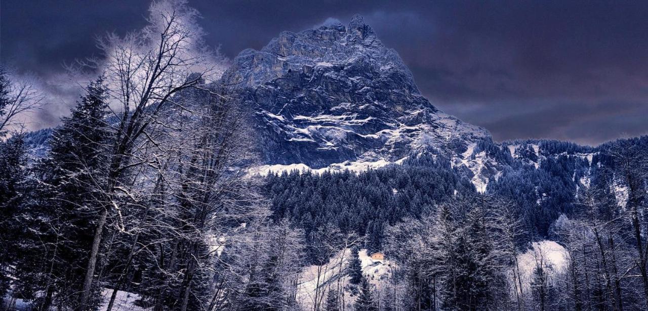 Bueelbad - Relax Holiday Apartment Kandersteg Eksteriør bilde
