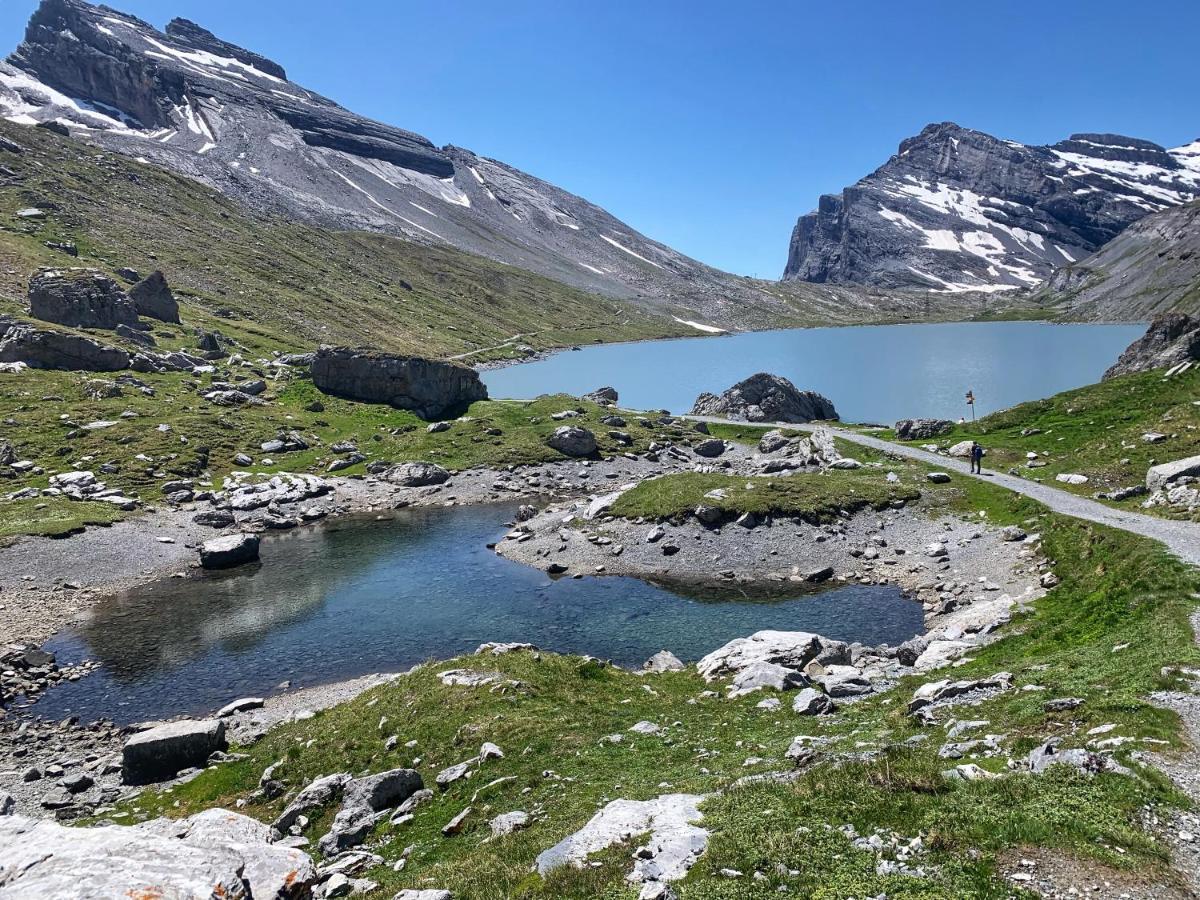 Bueelbad - Relax Holiday Apartment Kandersteg Eksteriør bilde