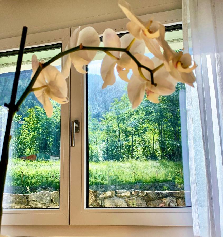 Bueelbad - Relax Holiday Apartment Kandersteg Eksteriør bilde